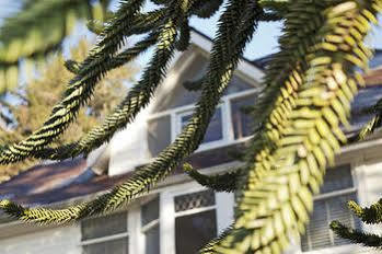 Hotel Swartz Bay Farm Sidney Exterior foto